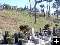 八王子市営 甲の原霊園