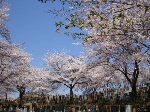 高尾墓園 常修寺