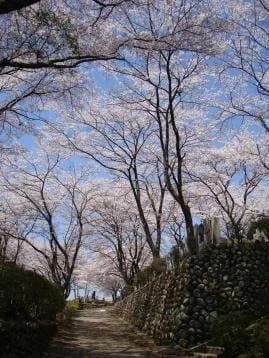 高尾墓園 常修寺