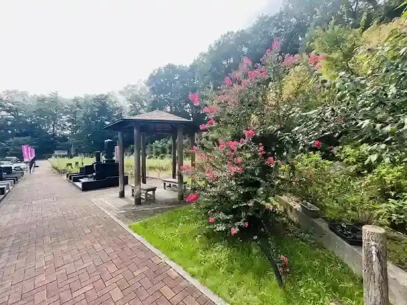 浄光の森聖地