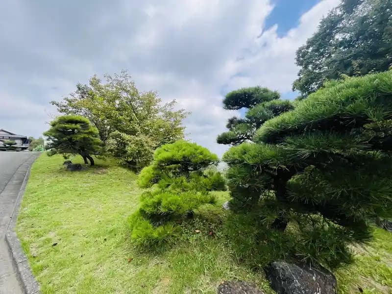 浄光の森聖地
