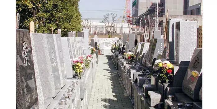 墓域⑤