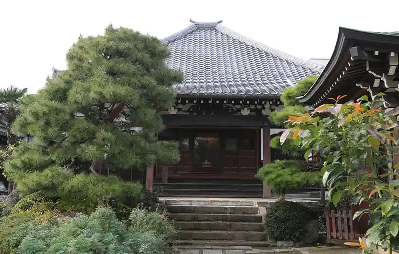 「愛樹木葬」中板橋樹木葬墓地