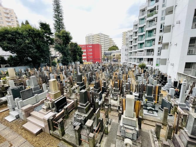 墓域