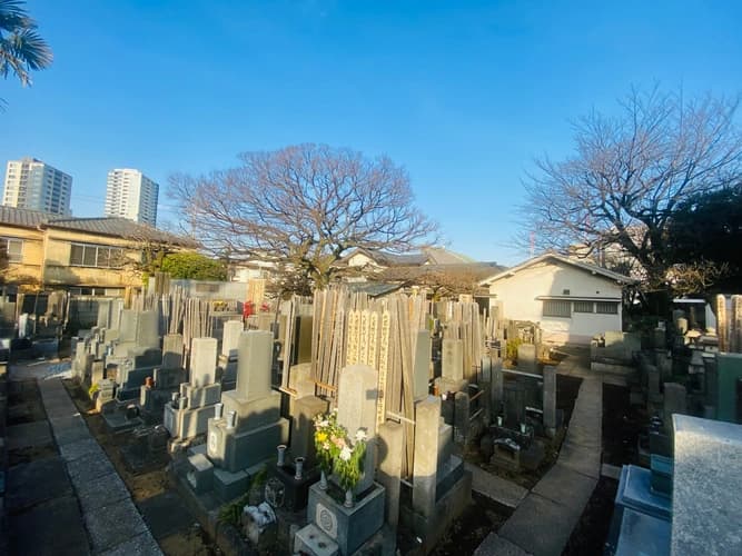 寿昌寺