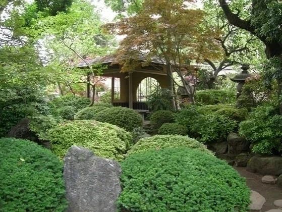 清光院
