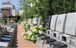 フラワーメモリアル国立府中　樹木葬「フラワージュ」