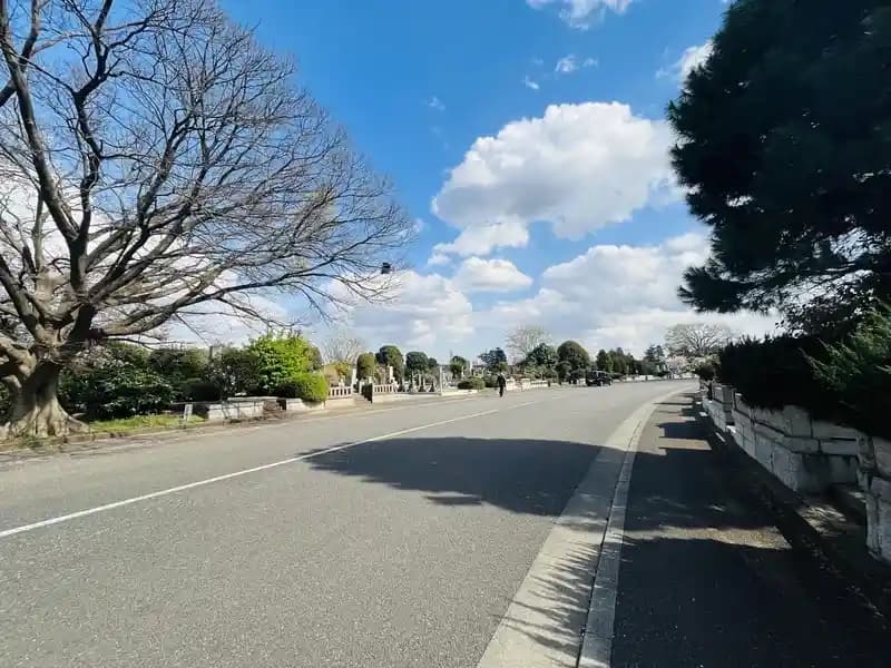 都立 多磨霊園