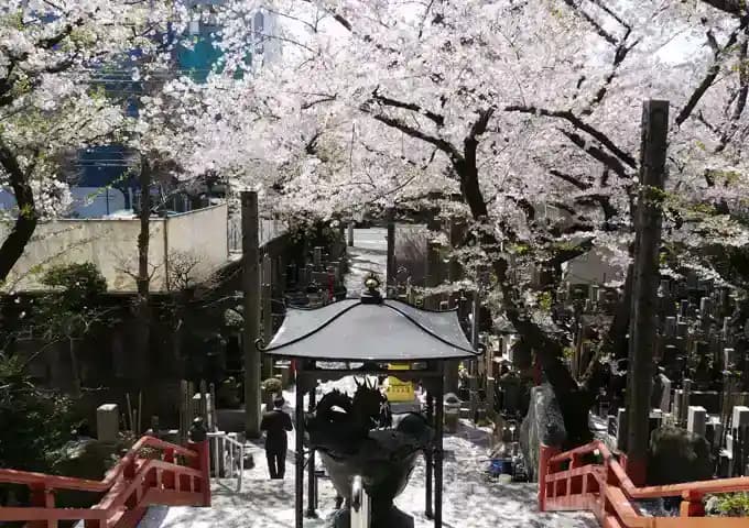 浄心寺 本郷さくら霊園