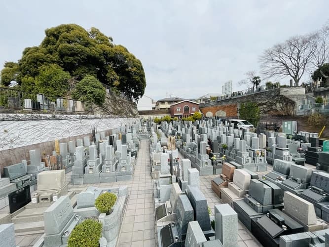 れんげ山霊園
