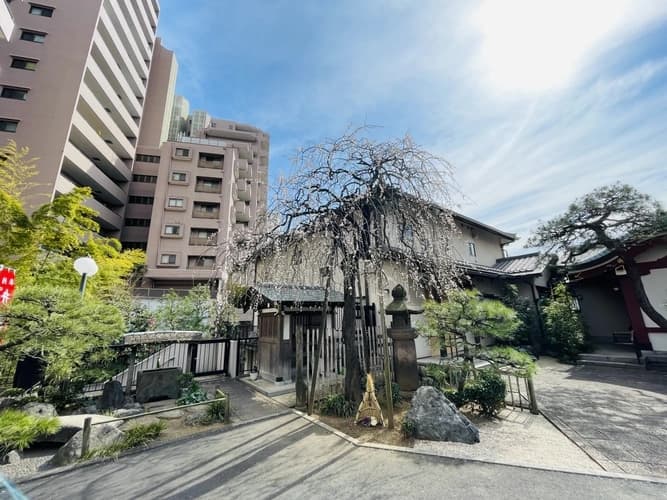 徳雲寺
