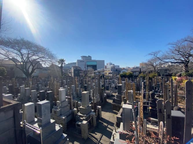 仙龍寺