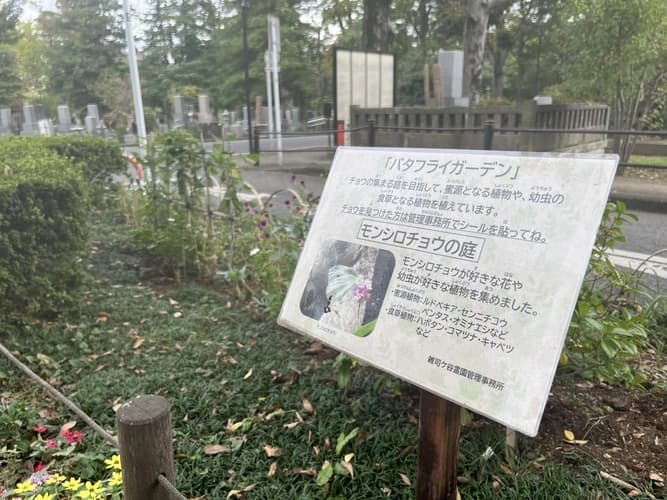 バタフライガーデン