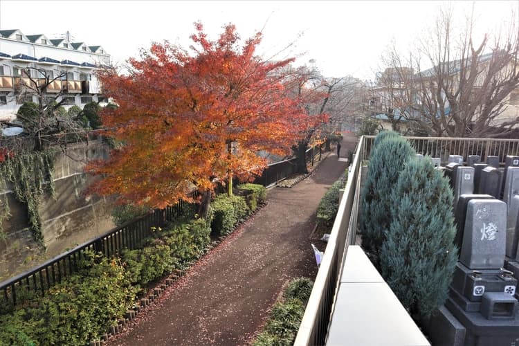 霊園裏手の紅葉