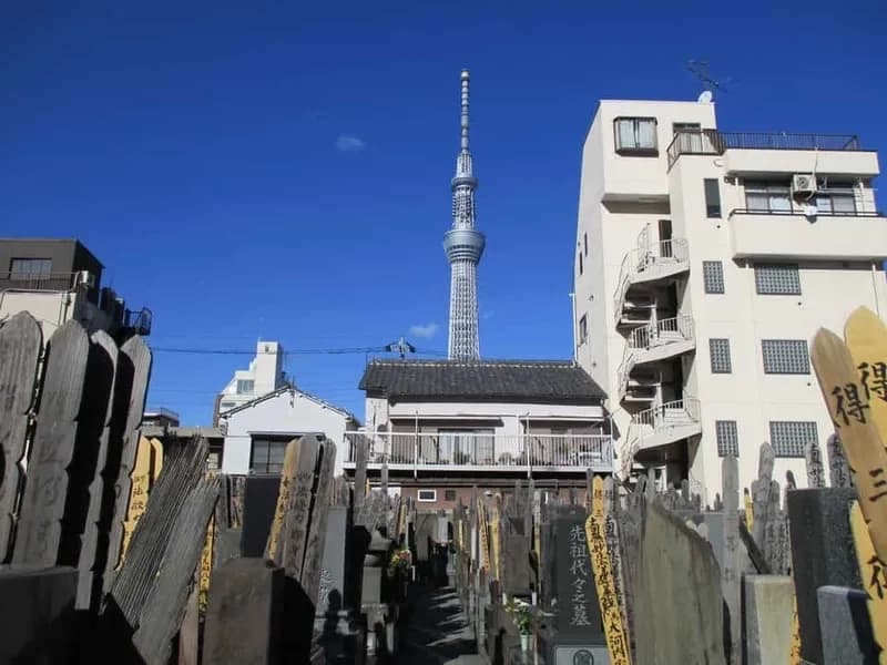 墓地からもスカイツリーが見えます。