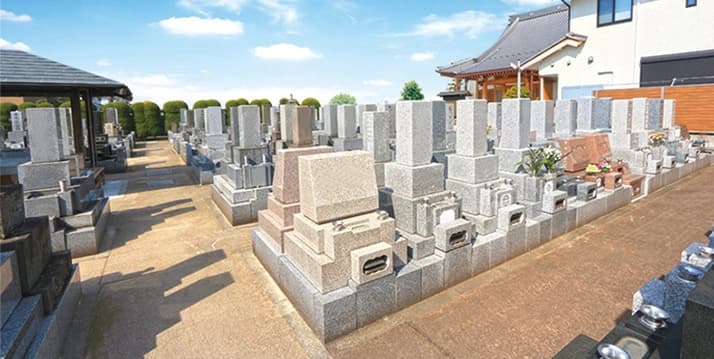 真龍寺