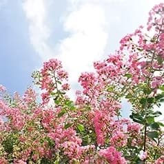 (公財)相模メモリアルパーク湘南森林霊園