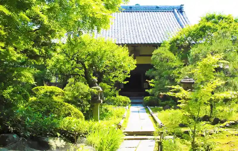 「愛樹木葬」北鎌倉四季の風樹木葬墓地