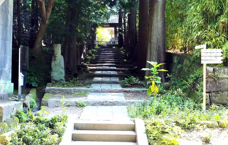 「愛樹木葬」北鎌倉四季の風樹木葬墓地