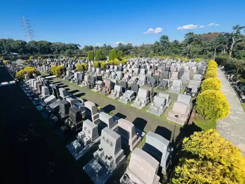 湘南フォレスト