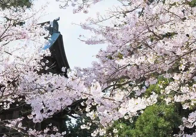 円覚寺（臨済宗大本山）