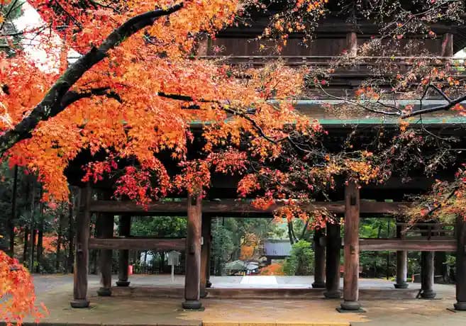 円覚寺（臨済宗大本山）