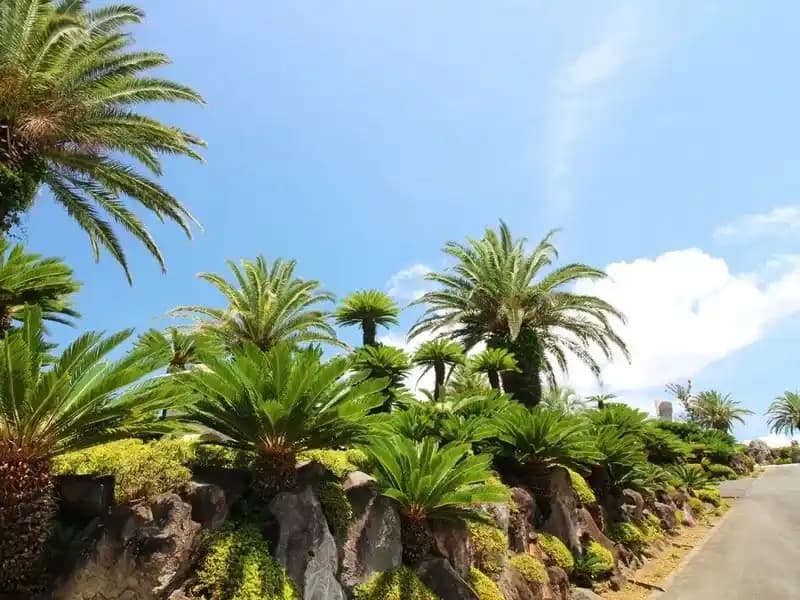 やすらぎの里 南葉山霊園