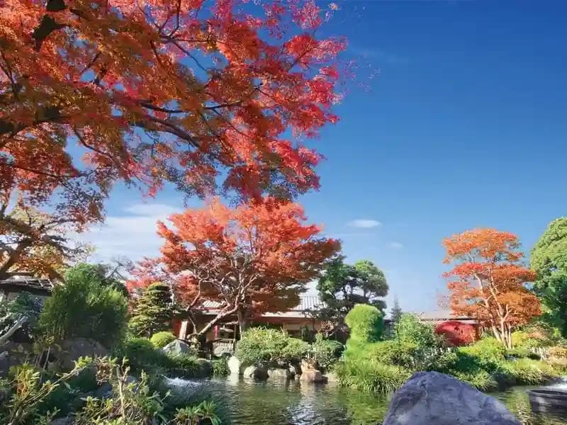 日本庭園陵墓 紅葉亭