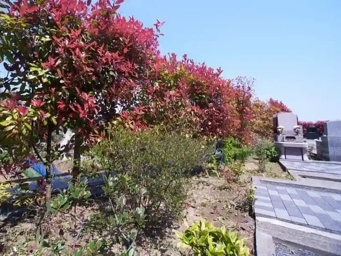 青葉ニュータウン霊園