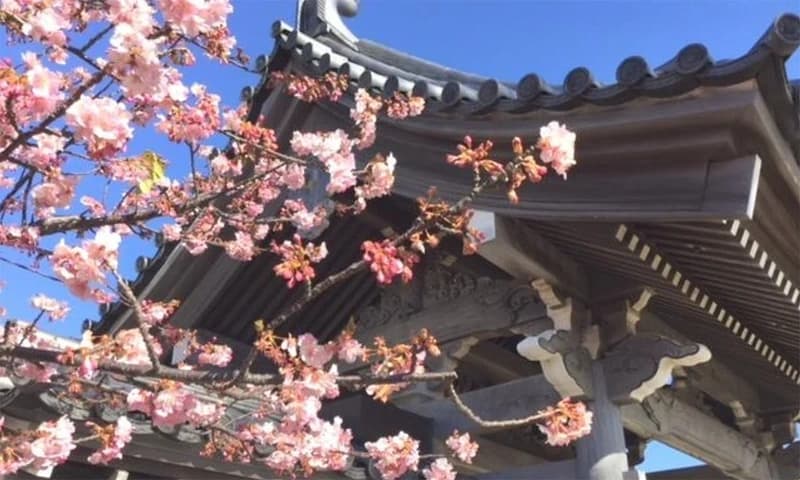 法蔵院 永代供養墓