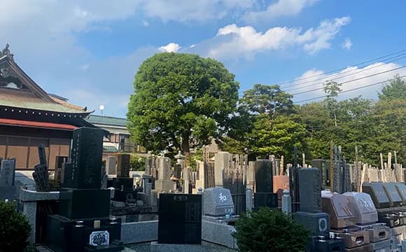 光明山遍照寺
