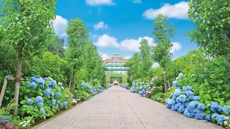 海老名フォーシーズンメモリアル 永代供養墓「花ことば」