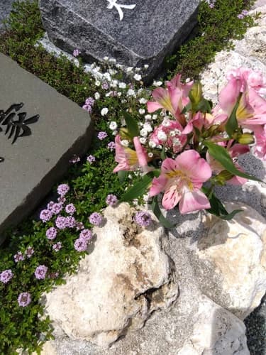 プレミアム小田原シーサイド共葬樹木葬墓地