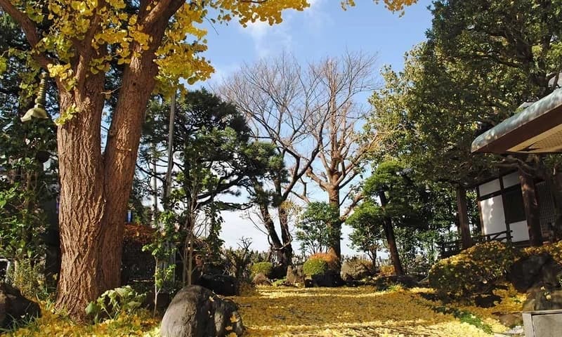 陽光院