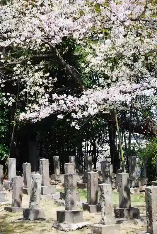 横須賀市営 馬門山墓地