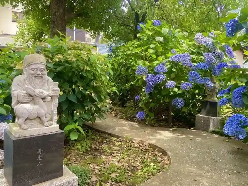 般若山 大藏寺／一般墓・樹木葬