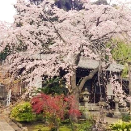 泉福寺墓苑