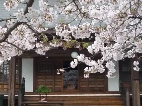 安楽寺