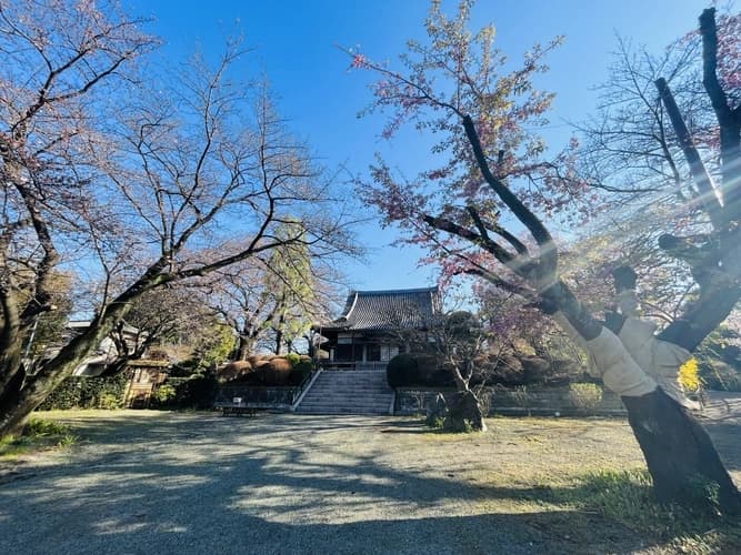 長善寺 さぎ沼墓苑