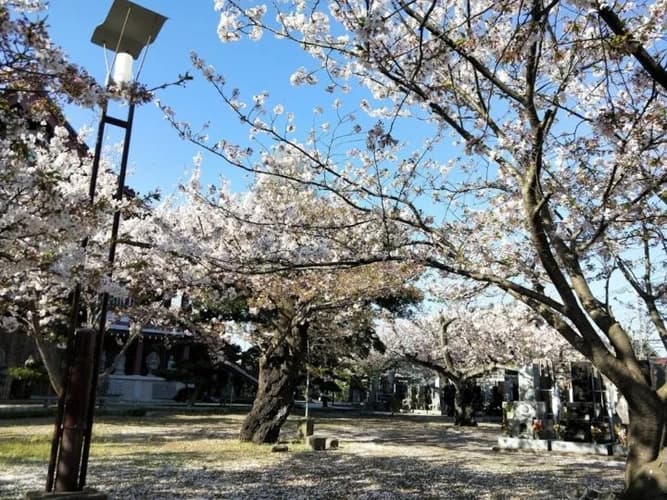 長安寺 のうこつぼ
