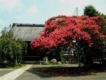法華山 本興寺