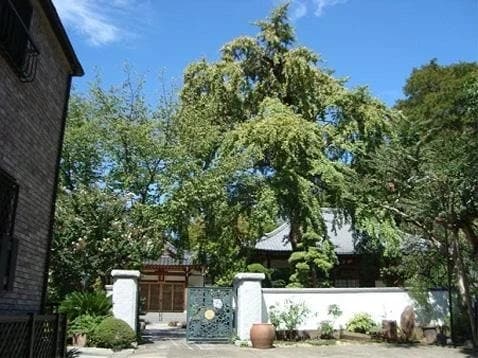 法華寺