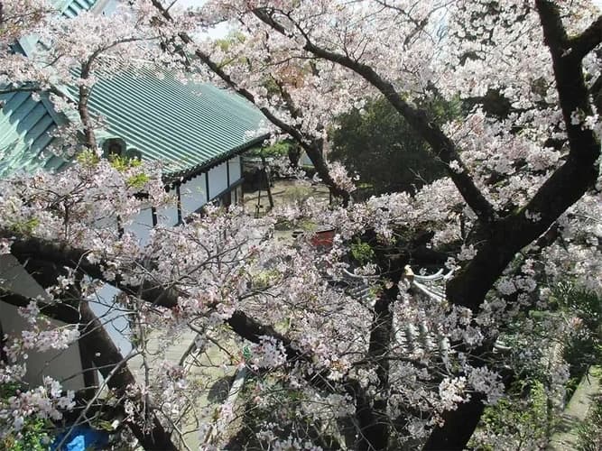 徳恩寺
