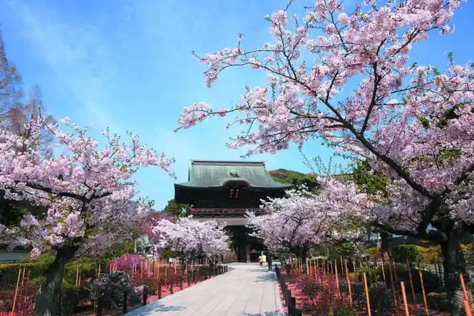 建長寺（臨済宗大本山）