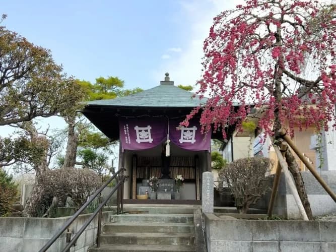妙傳寺 のうこつぼ