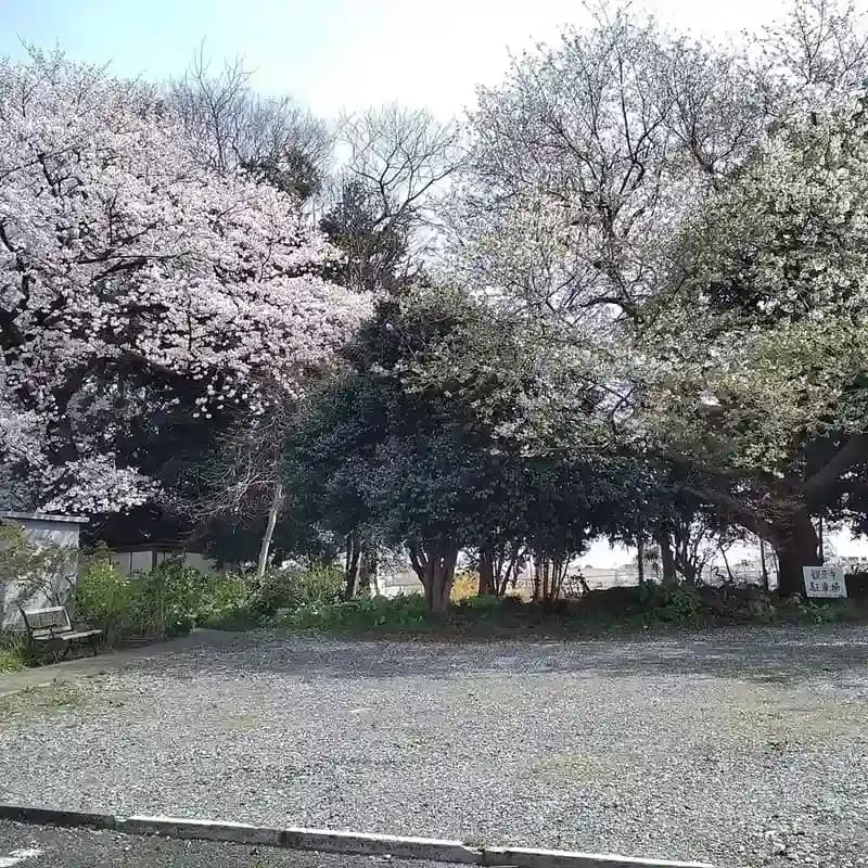 観音寺