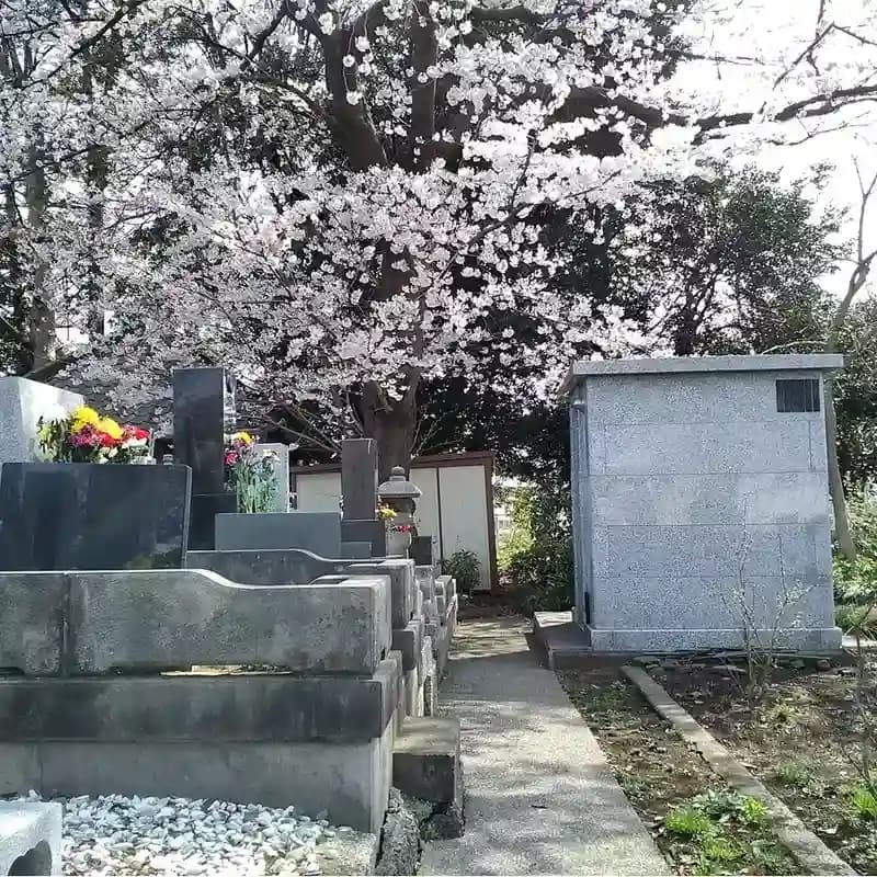 観音寺