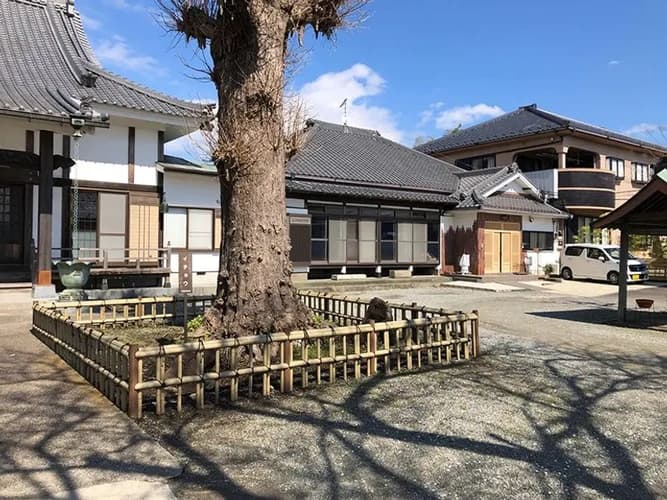 蓮生寺