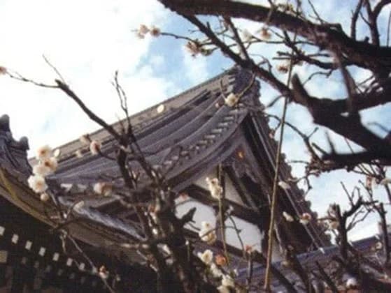 慶岸寺