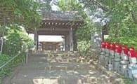 妙蓮寺